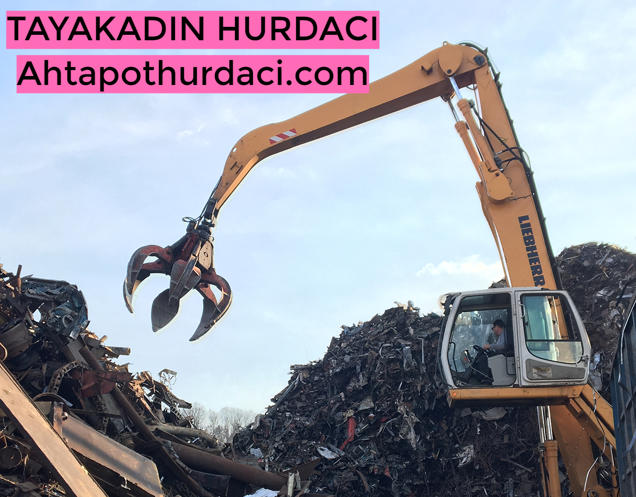 Tayakadın hurdacı